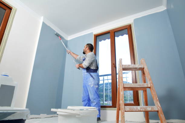 Best Basement Mold Removal  in Milan, TN