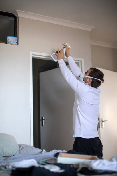 Trusted Milan, TN Mold Removal Experts