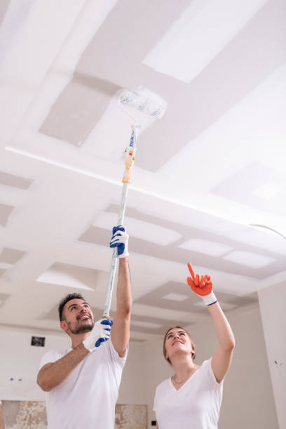 Best Water Damage & Mold Remediation  in Milan, TN